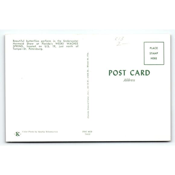 Postcard Weeki Wachee Lady Mermaids Performers Underwater Dancing Act Chrome - Picture 2 of 2